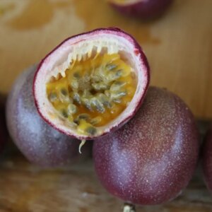 alanyada tropikal meyve uretimi artiyor SVFuGk2G