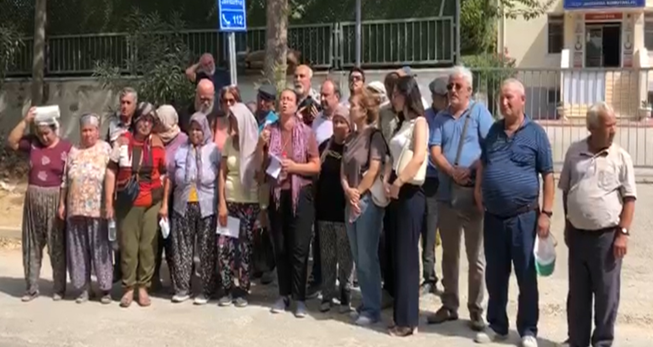 akbelende orman savaslarindan sonra zeytin savaslari basladi 1nULdYRb