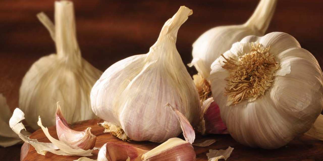 sarimsak yuzde 1300 zamlandi 46jsYniM