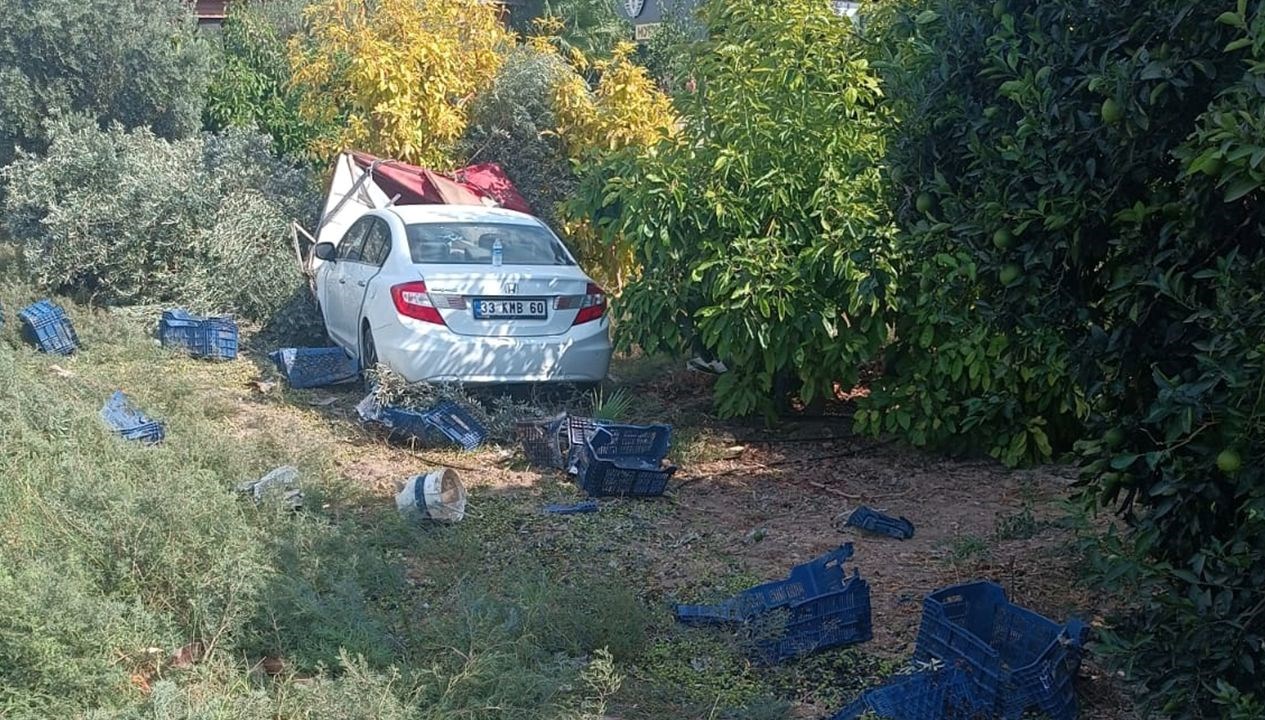 zeytin toplayan iscilere carpti olu sayisi yukseldi qRNwpabc