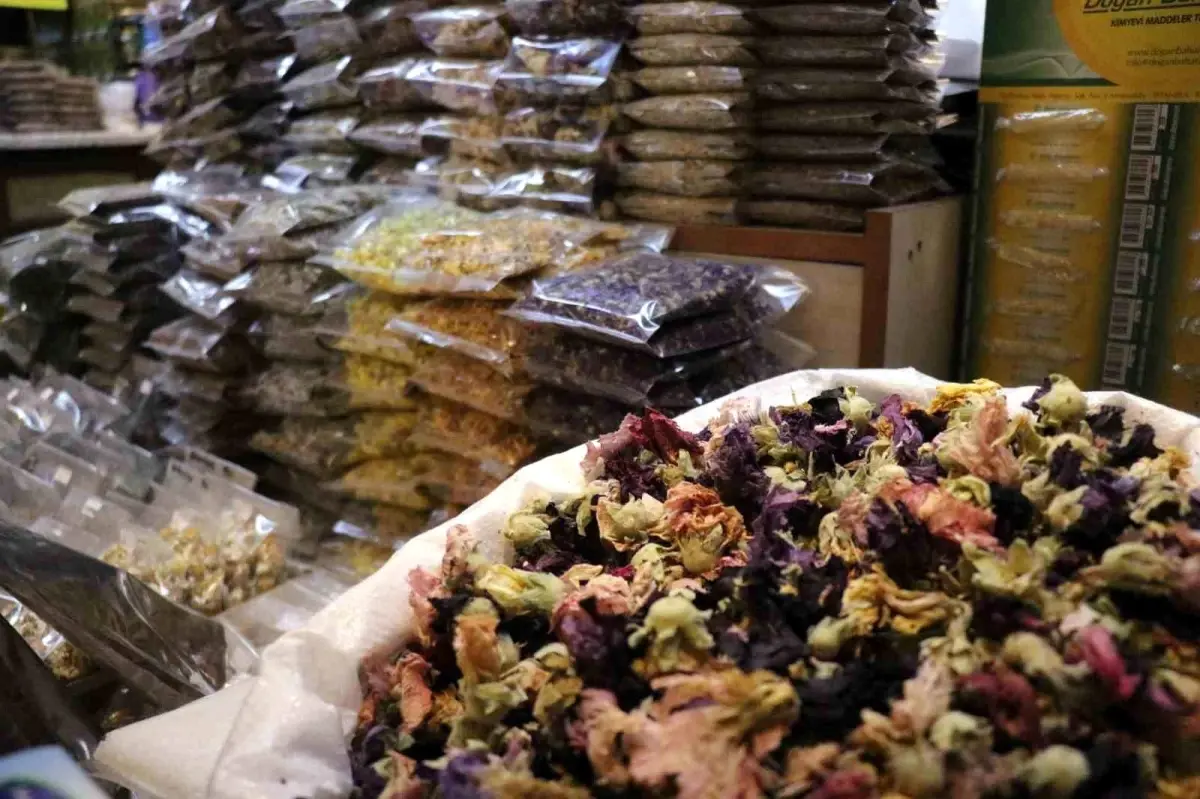 sakaryada soguk alginligina karsi aktarlara yogun ilgi iCqsPZps