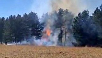 sarikamista orman yangini sQvWpI8B.jpg