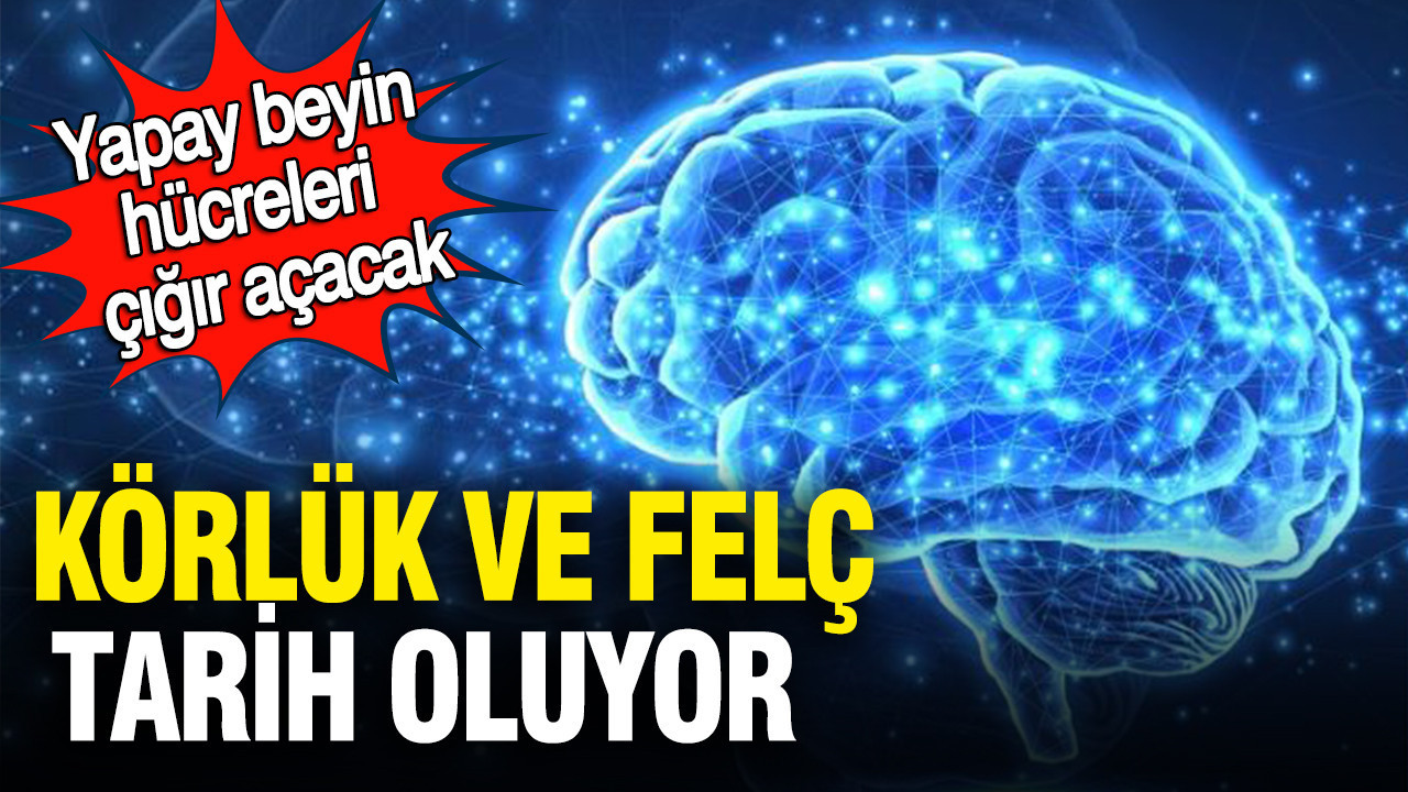 Yapay Nöronlar ile Yeni Bir Dönem: Körlük ve Felç Tedavisinde Çığır Açan Gelişmeler