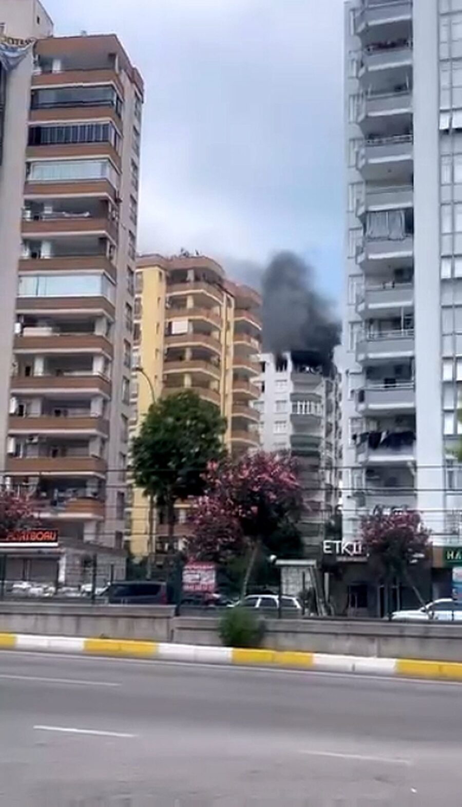 Adana’da Yangın, Köpek Kurtarıldı