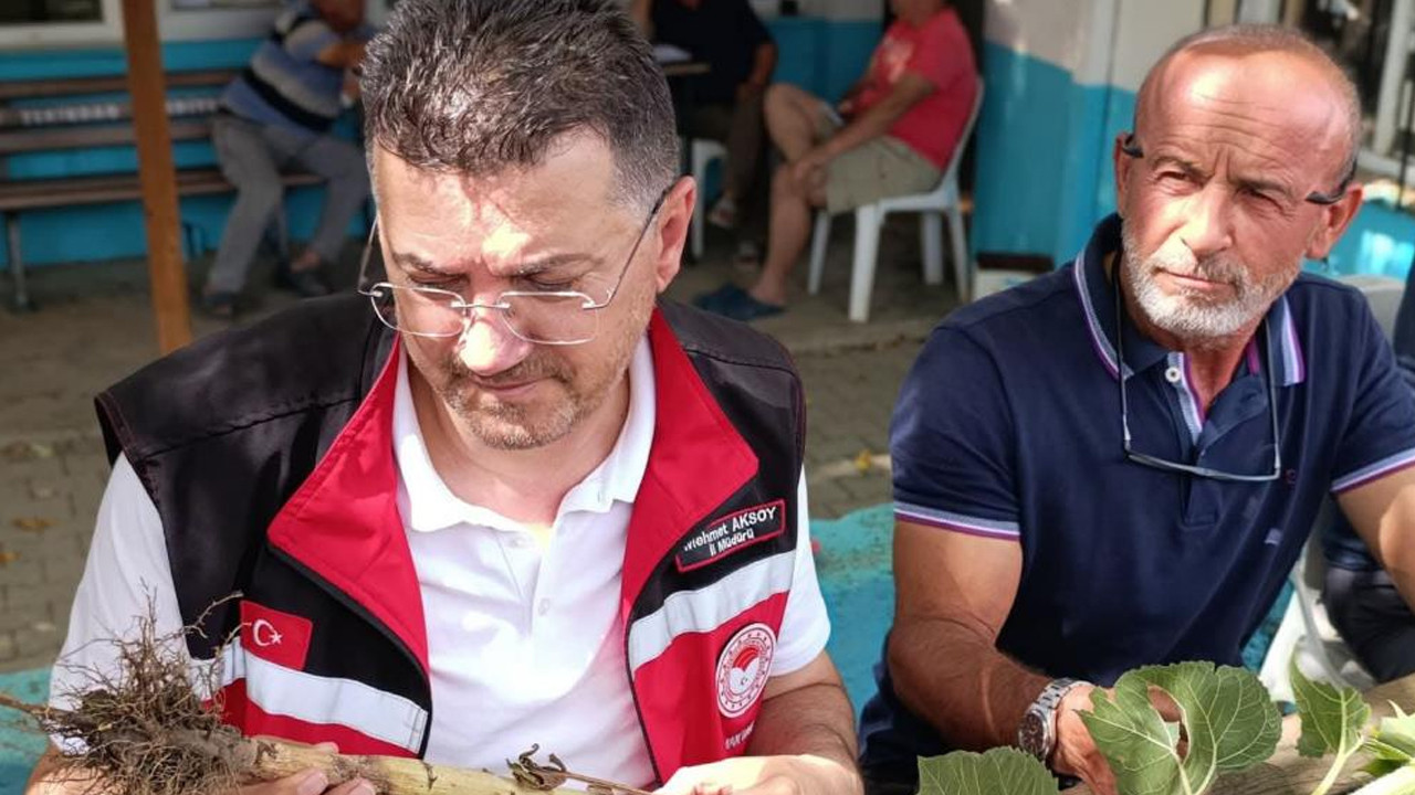 Tekirdagda dolu yagisi sonrasi tarim arazilerinde hasar tespiti suruyor PLkKvrXV
